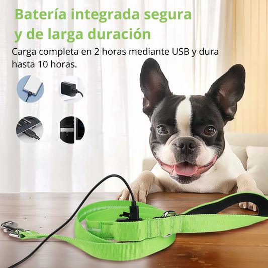 💡🐶 Correa LED NightSafe — Paseos seguros🌙✨