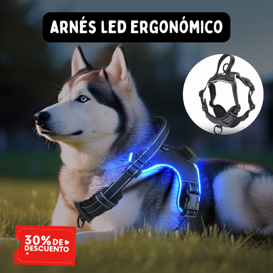 💡🐶 Arnés LED Ergonómico — ¡Haz que brille de noche! 🌙✨
