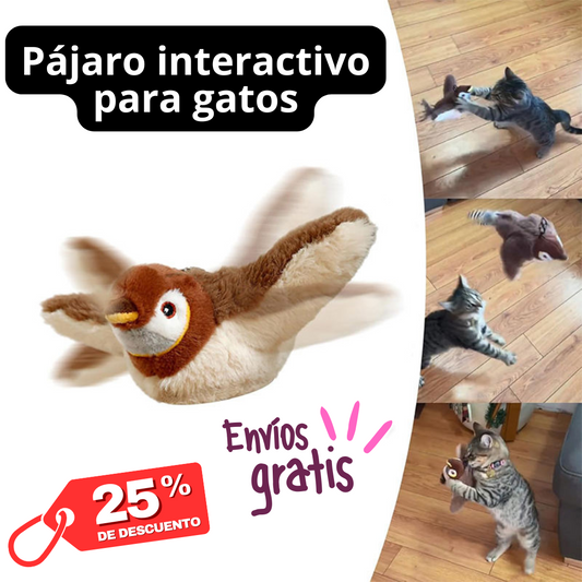 🕊️⚡ BirdPlay™ – El Ave que Enloquece a tu Michi